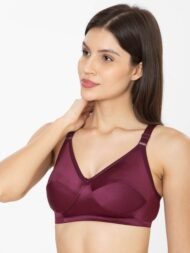 Forever Maroon Comfort Fit CottonBra - Image 3