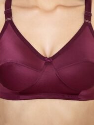 Forever Maroon Comfort Fit CottonBra - Image 6