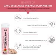 Effervescent Premium Cranberry Tablets - Image 6