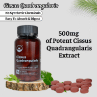 Cissus Quadrangularis - Image 6